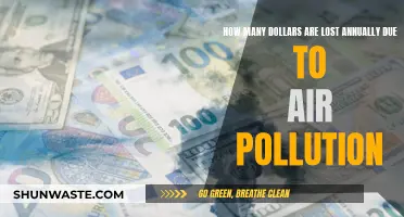 Costly Air Pollution: Billions Lost to Poor Air Quality