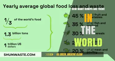 Exploring the Global Count of Landfills and Waste Dumps Worldwide