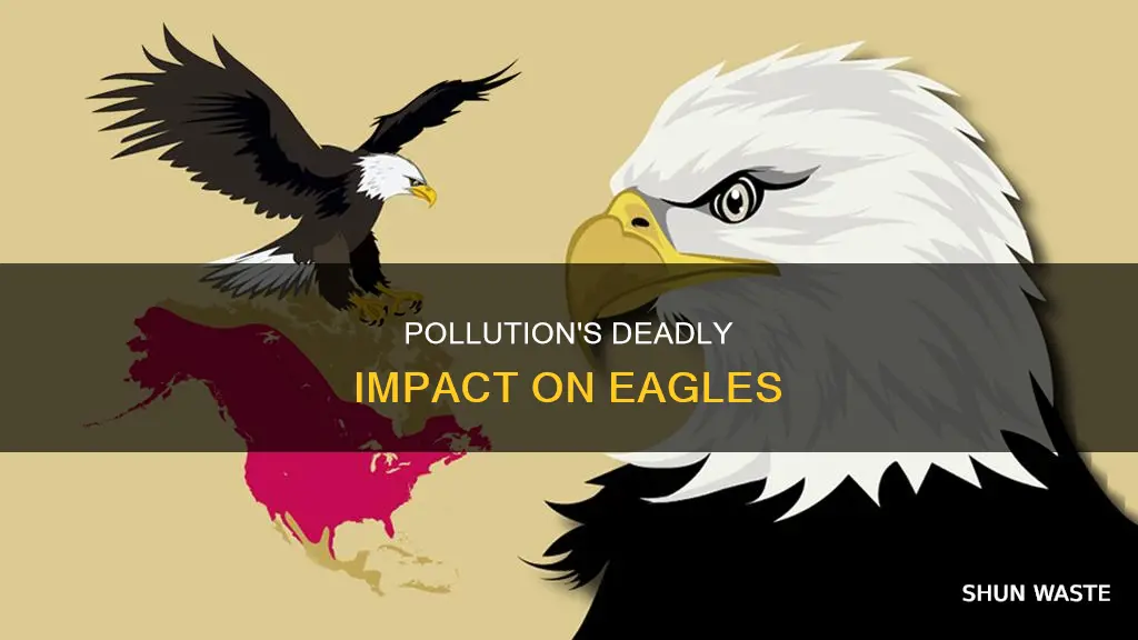 how many eagles die from pollution