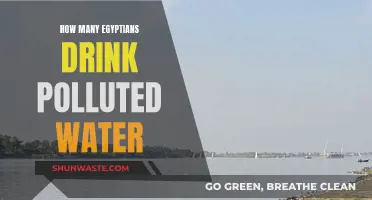 Egypt's Water Crisis: The Shocking Truth About Contaminated Drinking Water