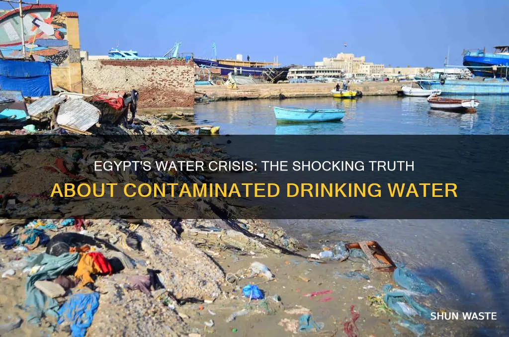 how many egyptians drink polluted water