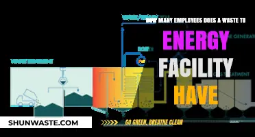 Staffing Waste-to-Energy Plants: Understanding Employee Numbers and Roles