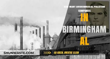 Birmingham's Environmental Pollution Companies: How Many Exist?