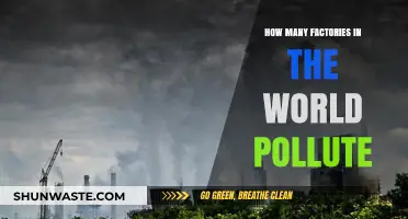 Polluting Factories: A Global Problem