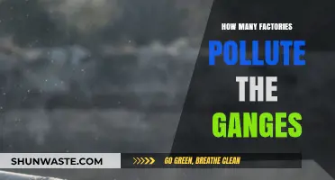 The Ganges' Polluting Culprits: Factories Revealed
