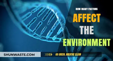 Exploring the Complex Web of Factors Shaping Our Environment