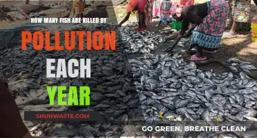 Pollution's Deadly Impact on Fish Populations