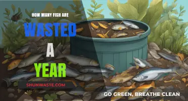 Annual Fish Waste: Shocking Numbers and Sustainable Solutions Revealed