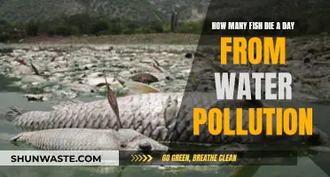 The Shocking Daily Toll: Fish Victims of Water Pollution