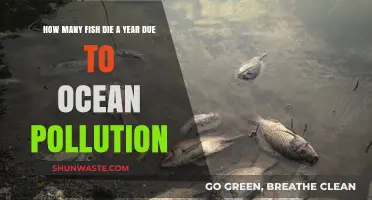 Fatal Pollution: Fish Deaths in Our Oceans