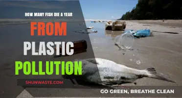 Plastic Pollution: A Deadly Threat to Aquatic Life
