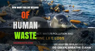 Human Waste's Deadly Impact: Fish Mortality Rates Revealed