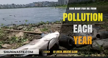 Pollution's Deadly Impact on Fish Populations