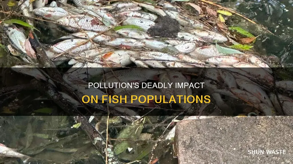 how many fish die from pollution each year