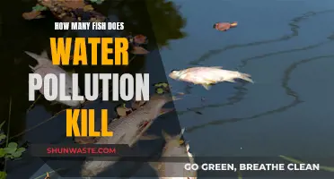 The Devastating Impact: How Water Pollution Claims Fish Lives