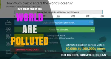 The World's Polluted Fish Crisis: Counting the Damage