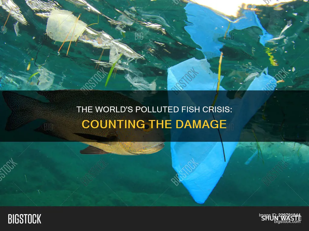 how many fish in the world are polluted