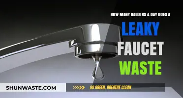 Daily Drip: How Much Water Does a Leaky Faucet Waste?