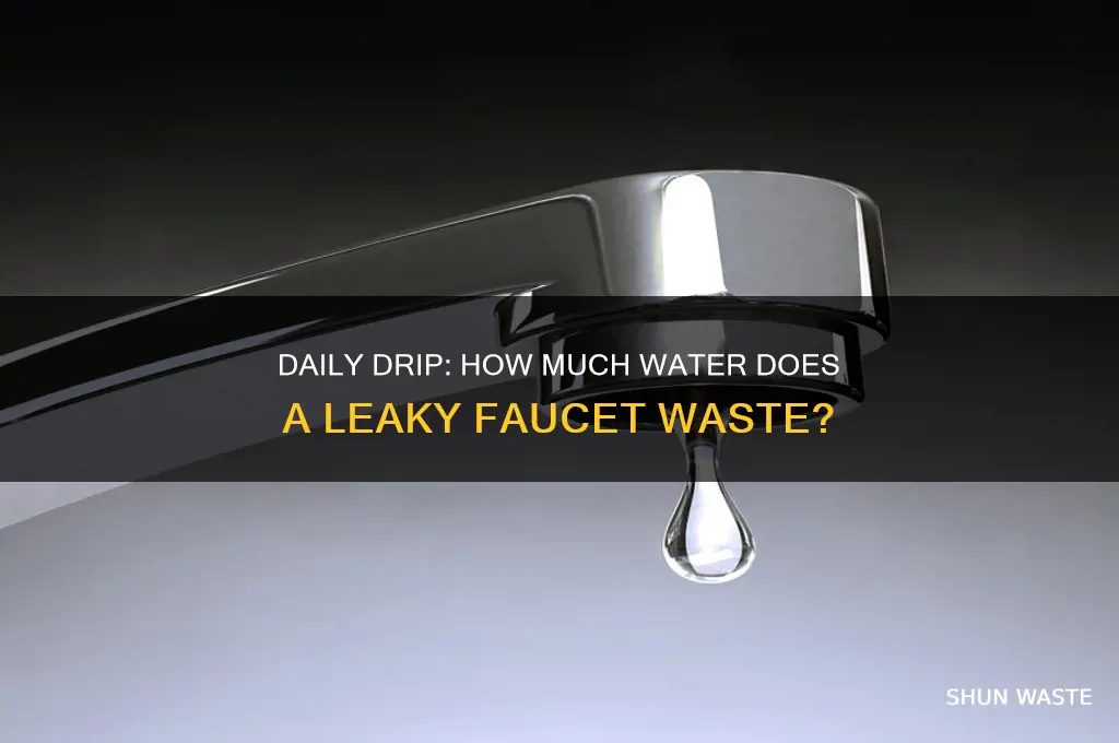 how many gallons a day does a leaky faucet waste