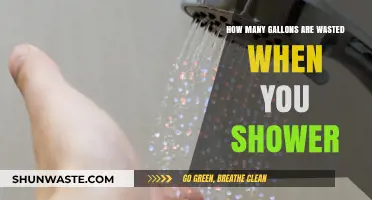 Shower Water Waste: How Many Gallons Are You Losing?