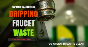 Dripping Faucet Waste: How Many Gallons Are Lost Daily?
