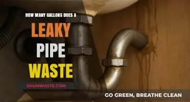 Leaky Pipes: Uncovering the Shocking Gallons Wasted Daily