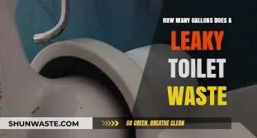 Leaky Toilet Waste: How Many Gallons Are You Losing?