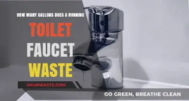 Running Toilet Faucet: Shocking Gallons Wasted and How to Stop It