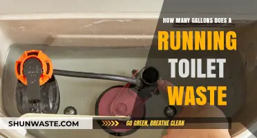 Running Toilet Waste: How Many Gallons Are You Losing?