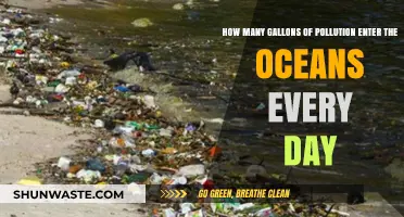 The Ocean's Daily Pollution Problem