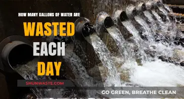 Daily Water Waste: Shocking Gallons Lost and Solutions to Conserve