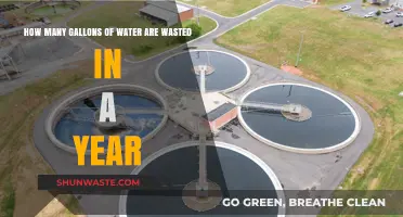 Annual Water Waste: Shocking Gallons Lost and Solutions to Save