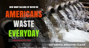 Daily Water Waste: How Much Do Americans Squander Each Day?