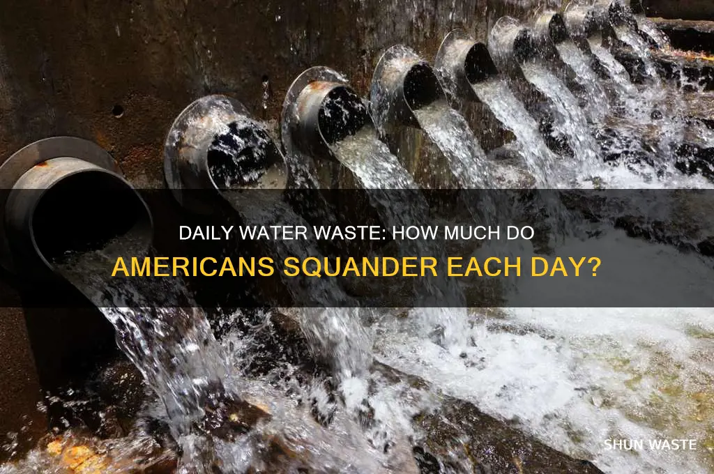 how many gallons of water do americans waste everyday