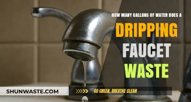 Dripping Faucet Waste: Uncovering the Shocking Gallons Lost Daily