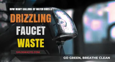 Drizzling Faucet Waste: Uncovering the Hidden Gallons Lost Daily