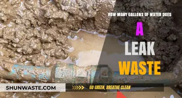 The Hidden Cost of Leaks: Water Waste and Conservation Tips