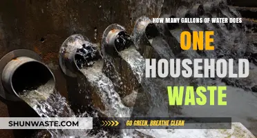 Reducing Household Water Waste: Understanding Daily Gallon Usage and Loss