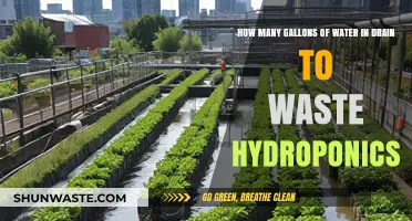 Efficient Hydroponics: Minimizing Water Waste in Drain-to-Waste Systems