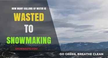 Snowmaking's Hidden Cost: Water Waste in Winter Sports