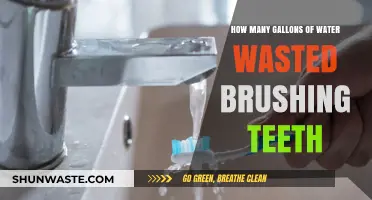 Water Waste Alert: Brushing Teeth's Hidden Gallon Drain
