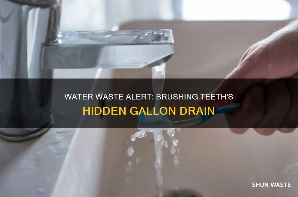 how many gallons of water wasted brushing teeth