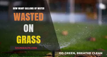 The Hidden Cost of Green Lawns: Water Waste Uncovered