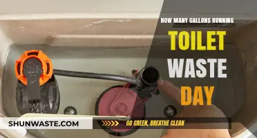 Running Toilet Waste: Daily Gallon Loss and Conservation Tips