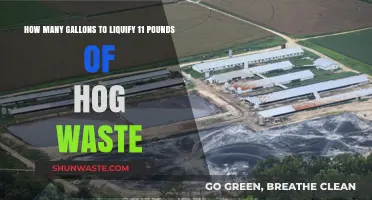 Liquifying Hog Waste: Gallons Needed for 11 Pounds Explained