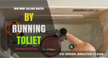 Running Toilet Woes: How Many Gallons Are You Wasting?