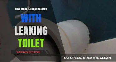 Silent Flush: Leaking Toilets and the Hidden Gallons Wasted Daily