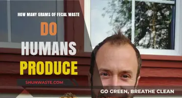 Human Fecal Waste Production: Understanding Daily Gram Output