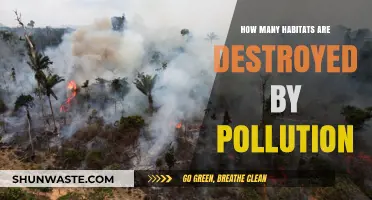 Pollution's Devastating Impact: Destroyed Habitats and Lost Homes