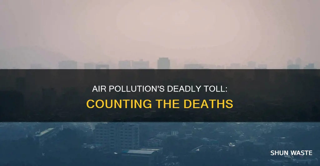 how many have died from air pollution